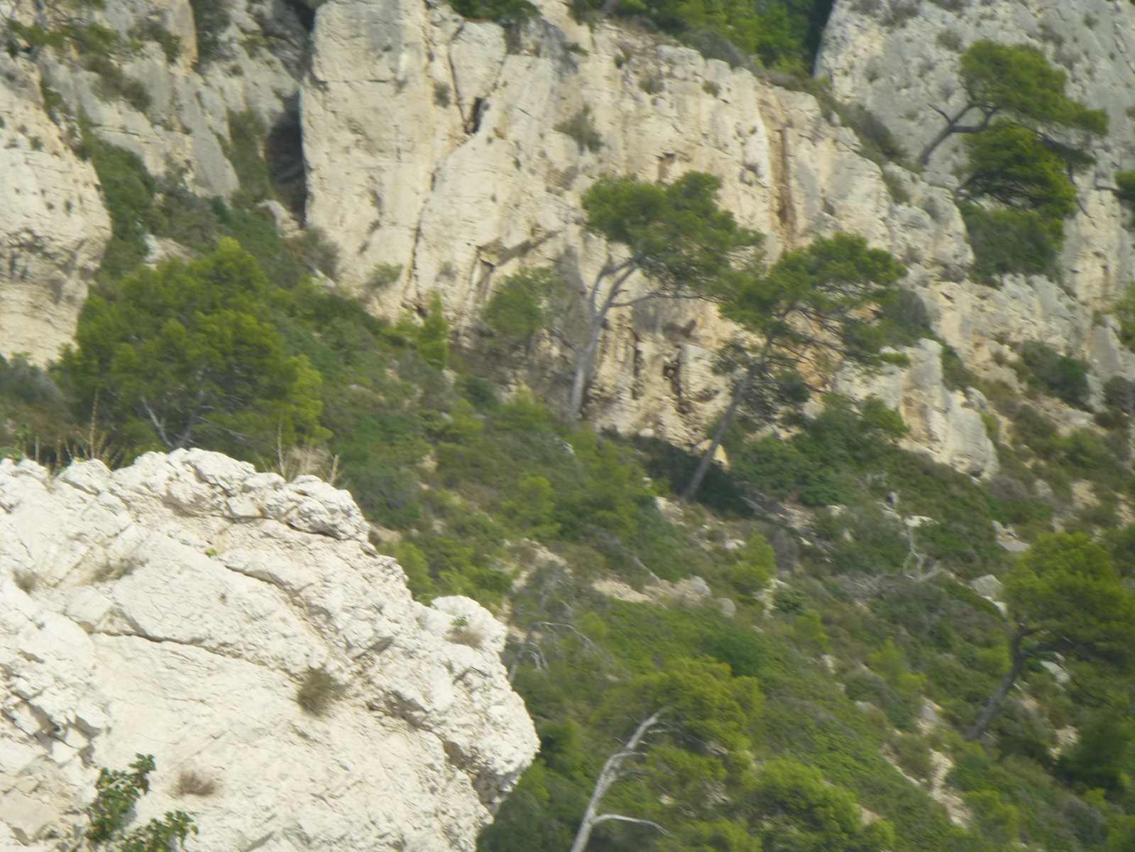 DSCN9494  1 (82)