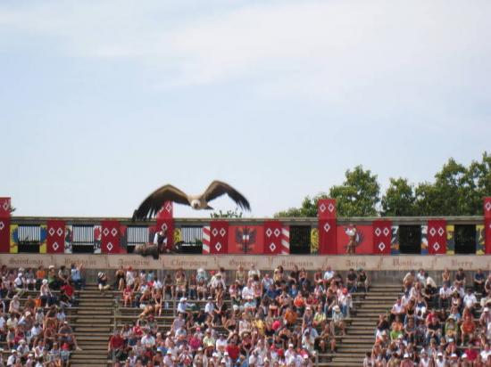 PUY DU FOU
