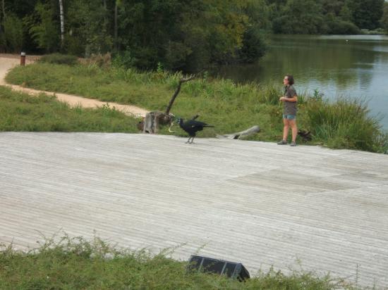 VOYAGE DU 13 SEPTEMBRE 2011