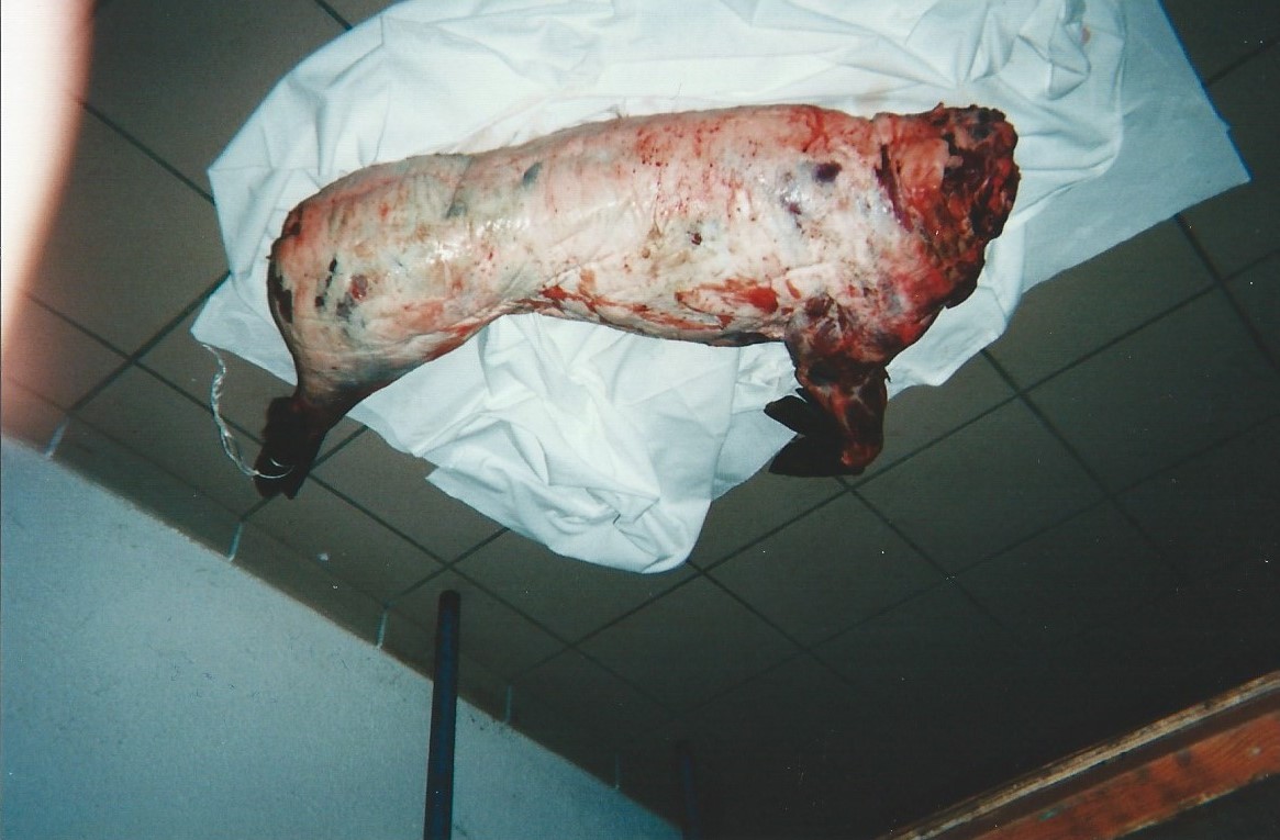 JUIN 2001 (11)