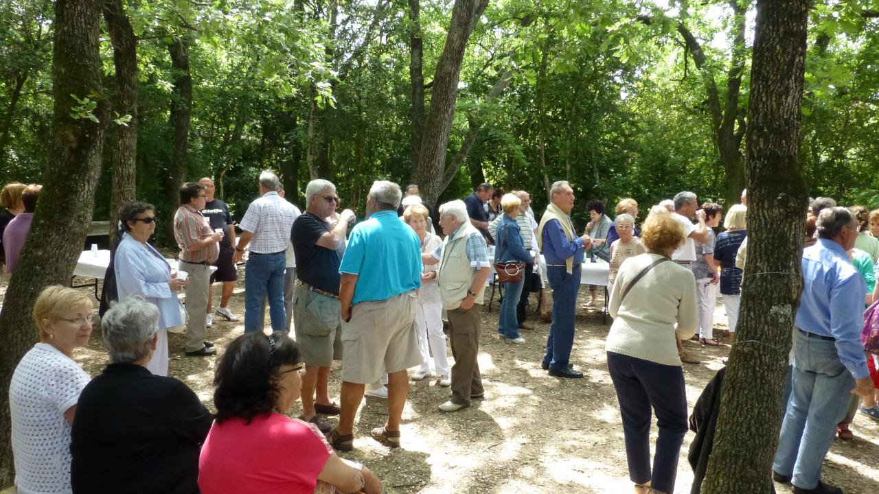 MECHOUI 11 JUIN 2013 LA GARDE ADHEMAR