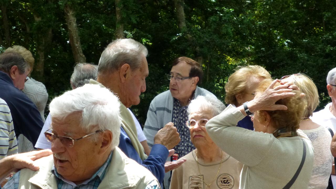 MECHOUI 11 JUIN 2013 LA GARDE ADHEMAR