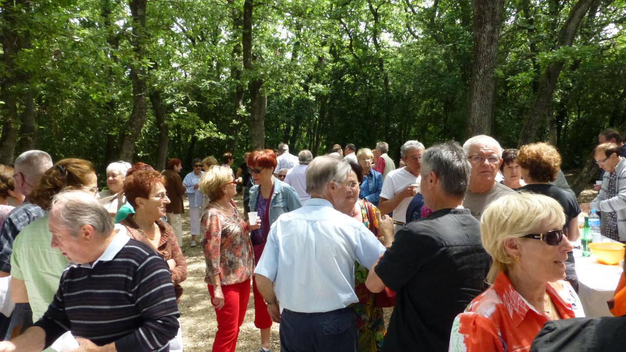 MECHOUI 11 JUIN 2013 LA GARDE ADHEMAR