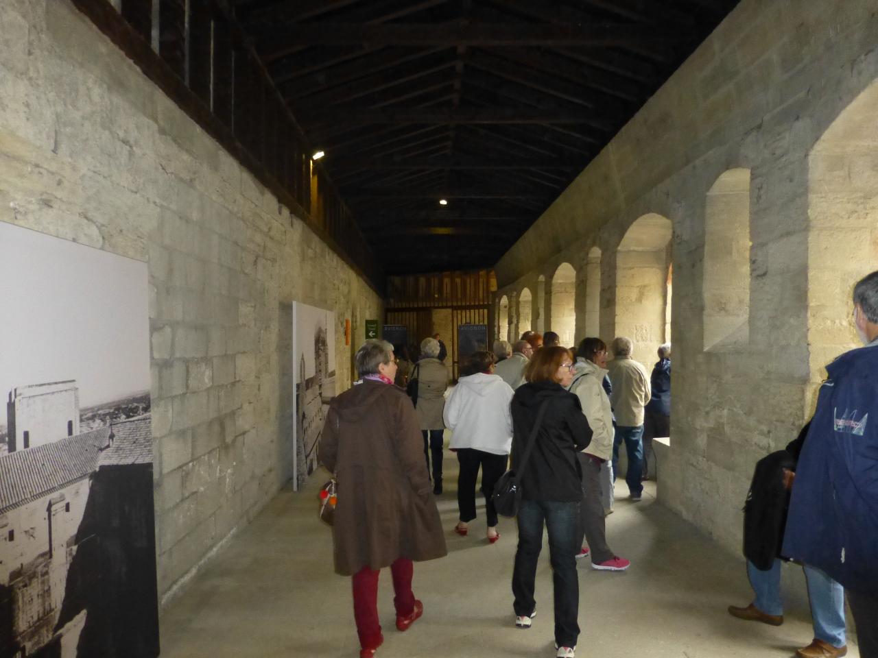 P1050246