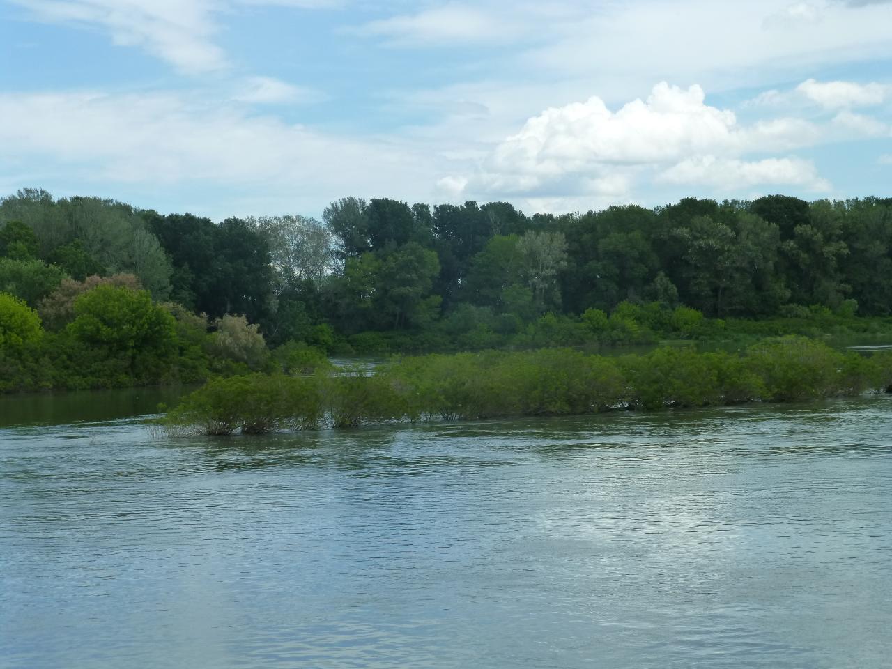 P1050339
