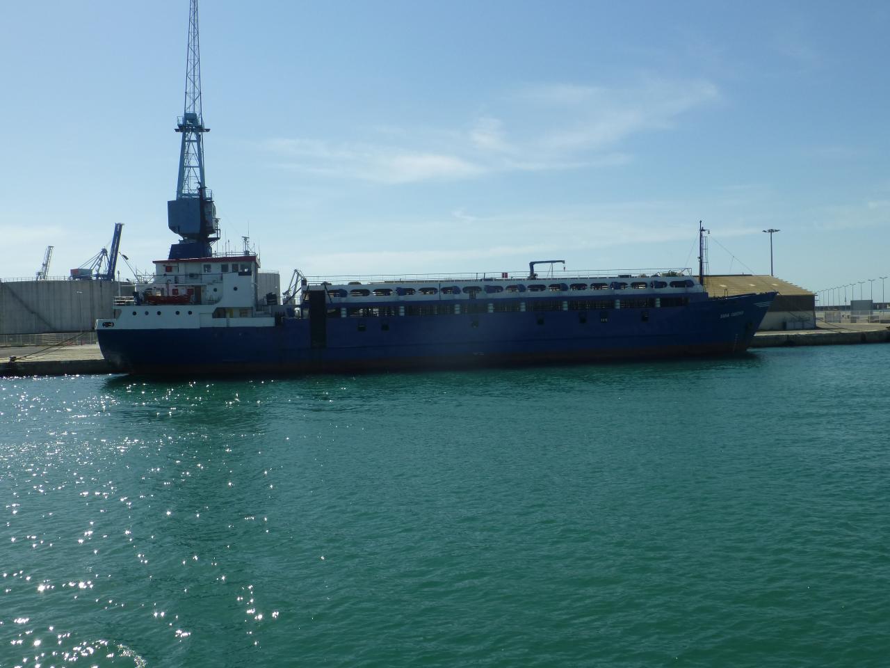 P1060538