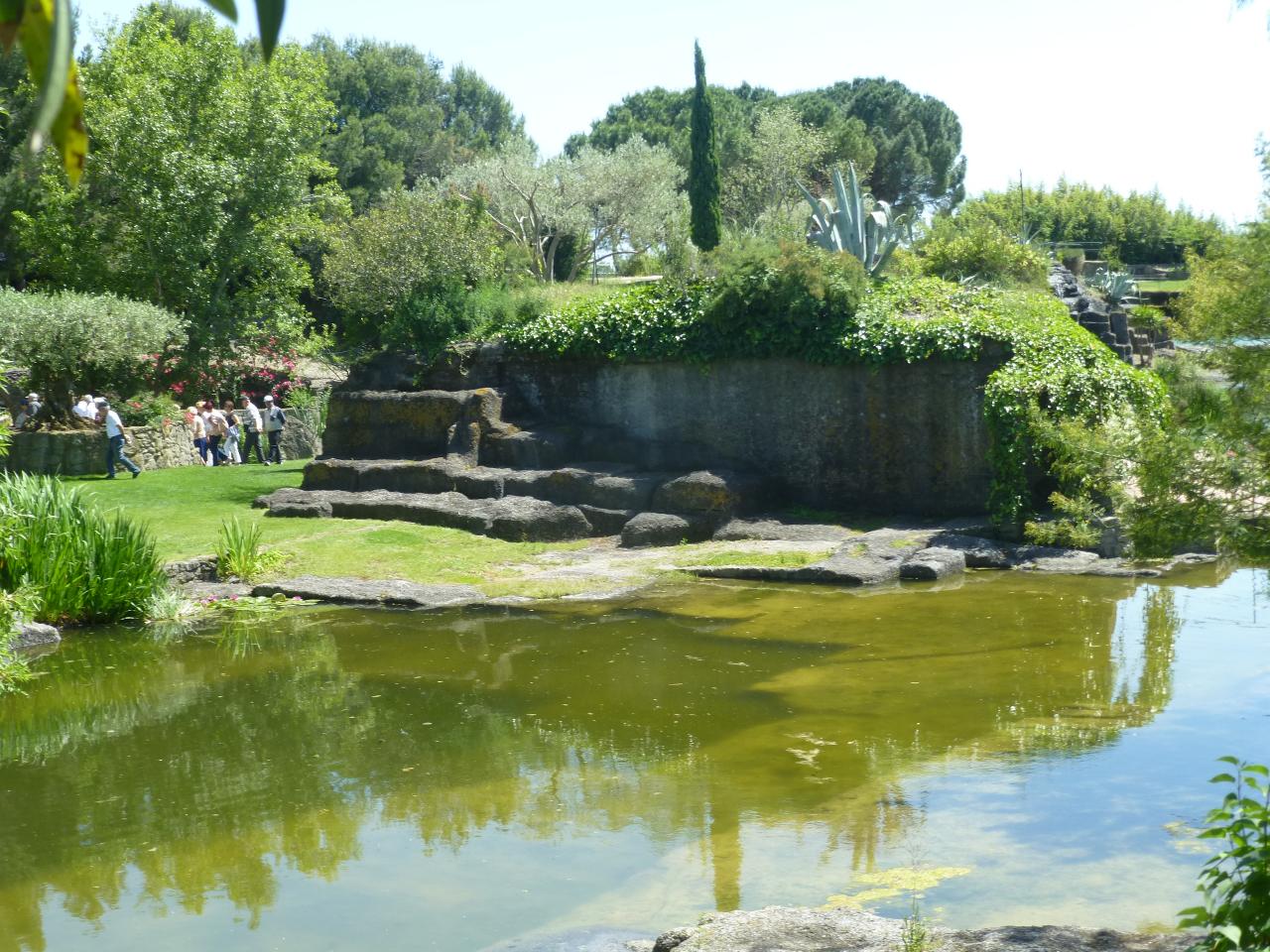 P1060579