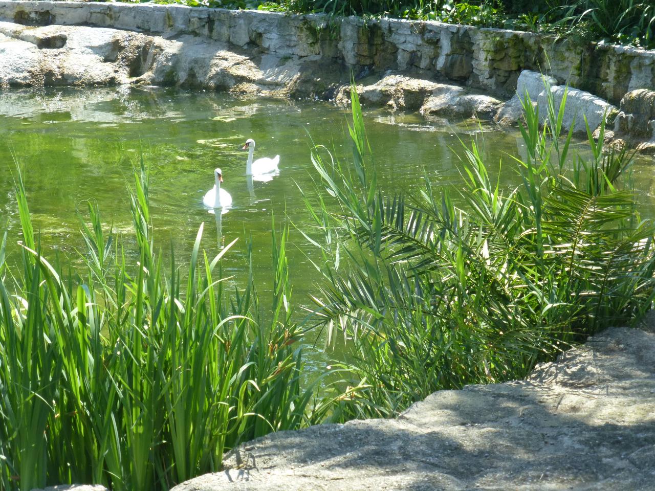 P1060589