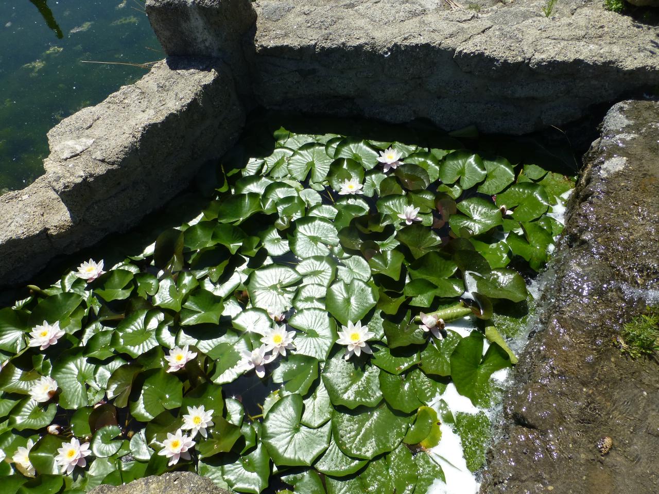 P1060596
