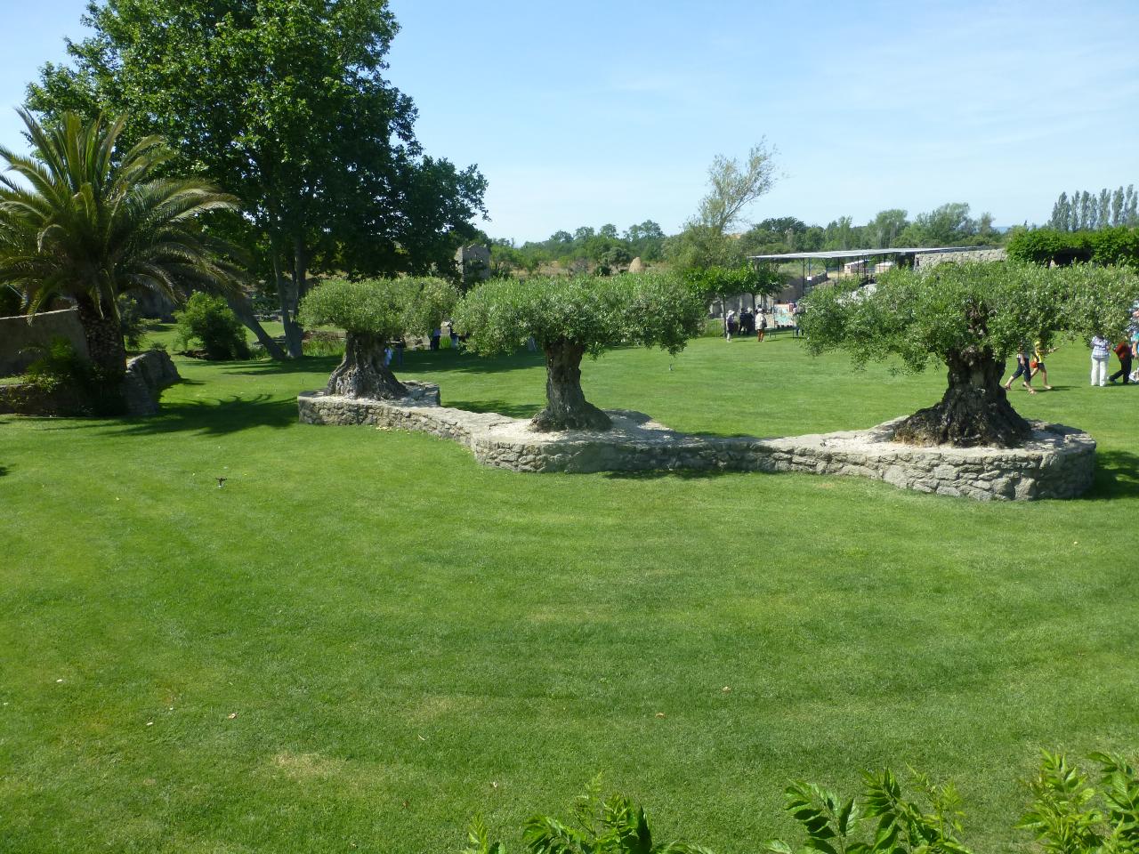 P1060655