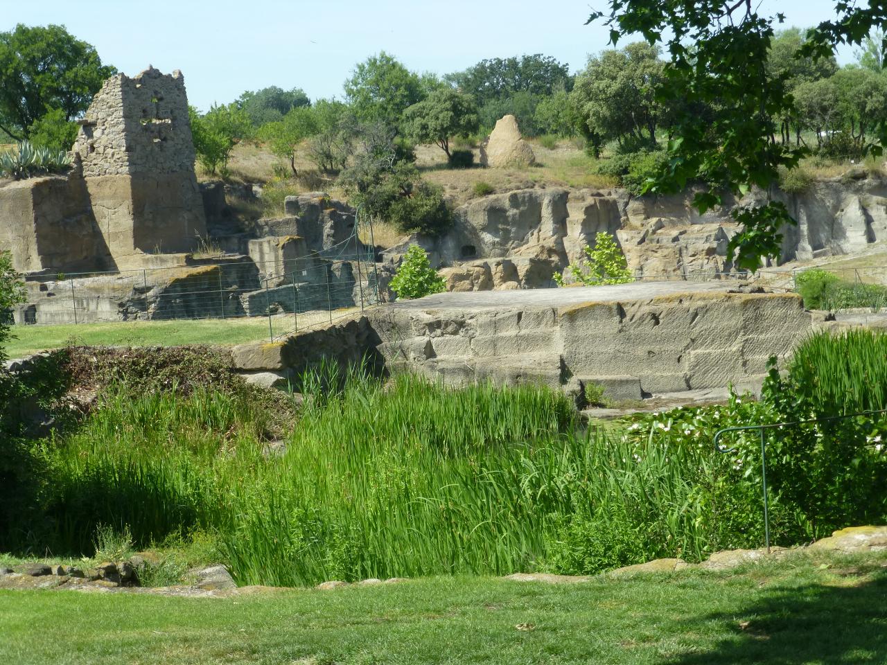 P1060669
