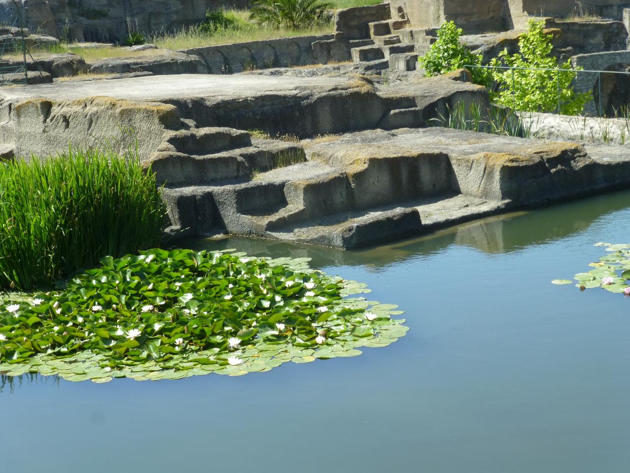 P1060672