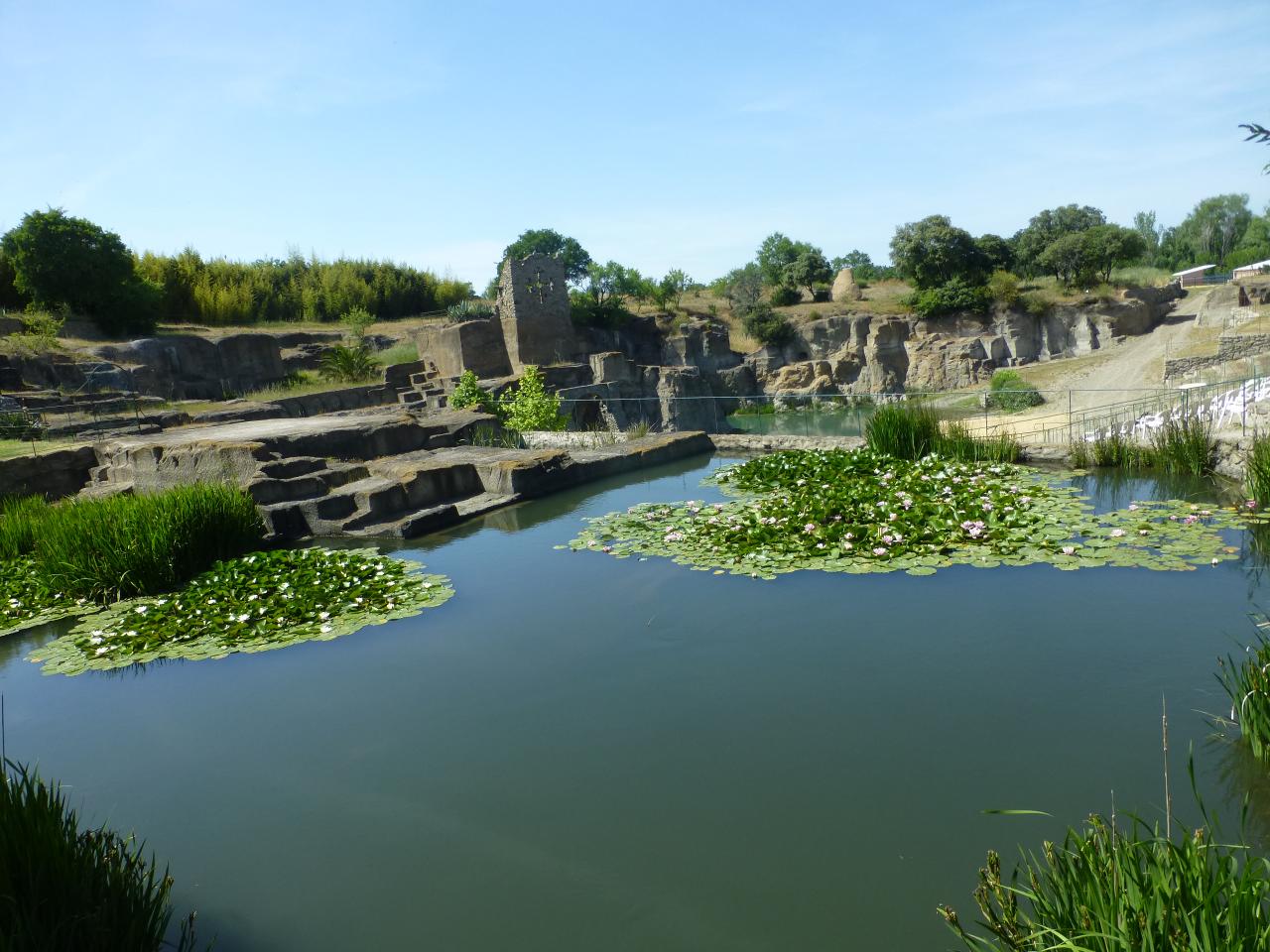P1060673
