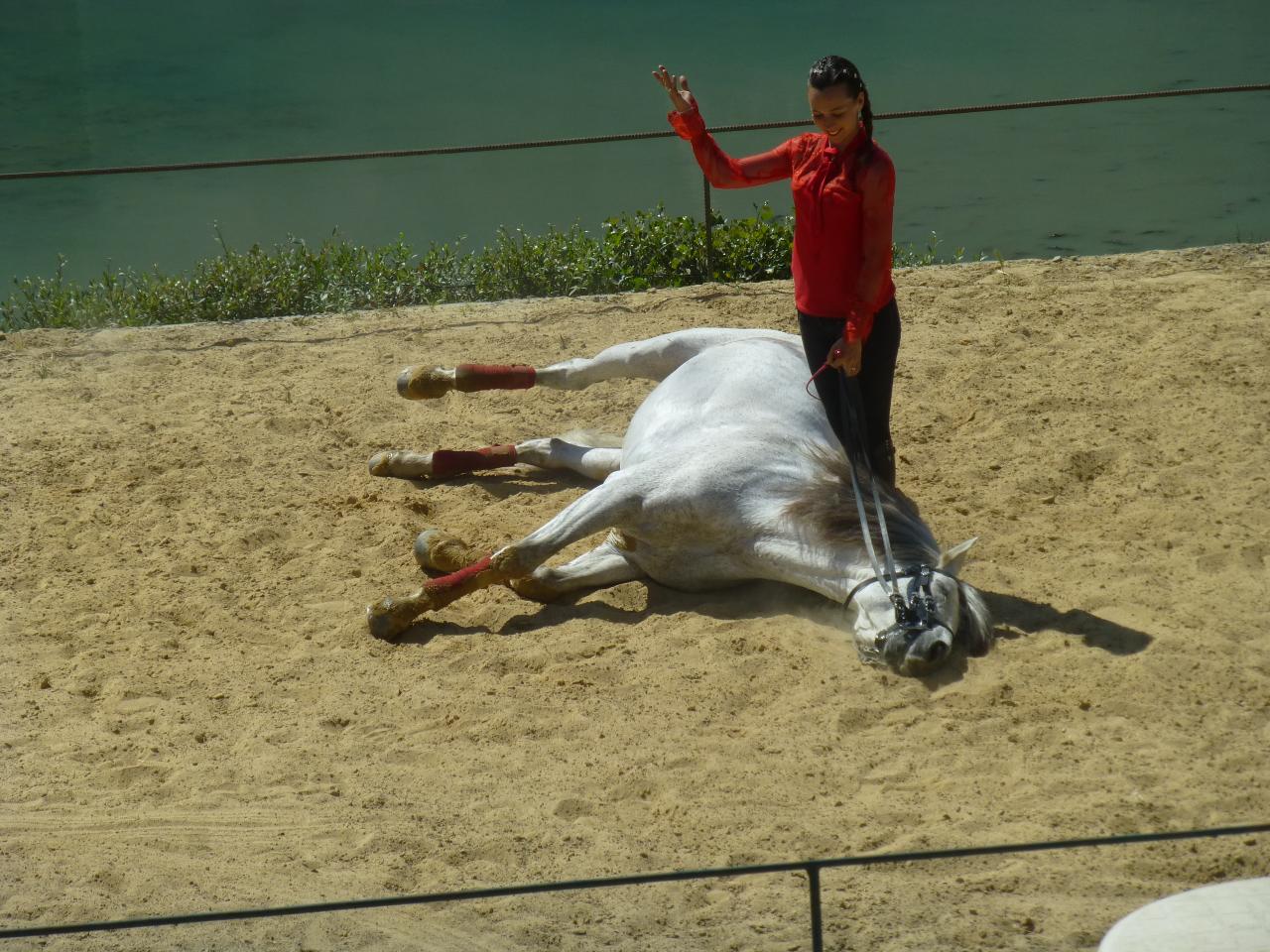 P1060707