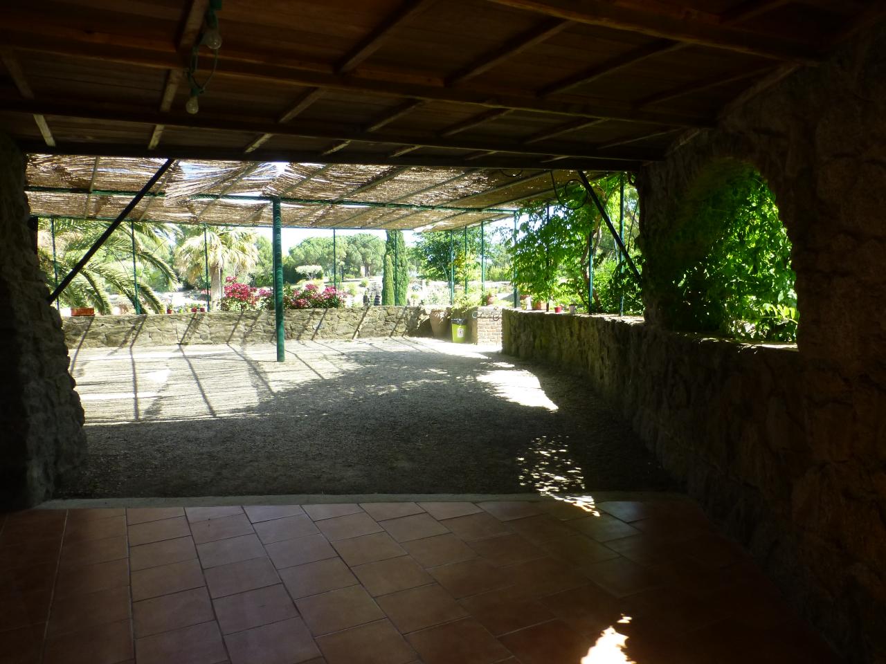 P1060729