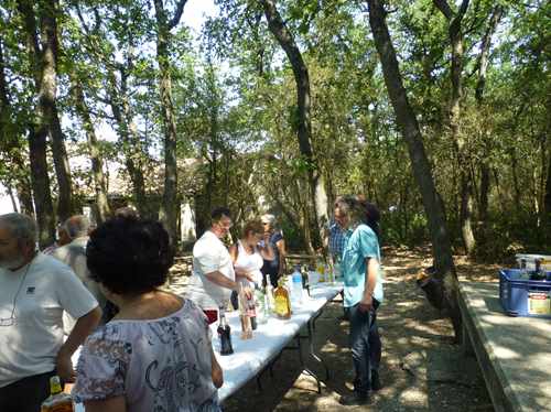 P1060853 (27)