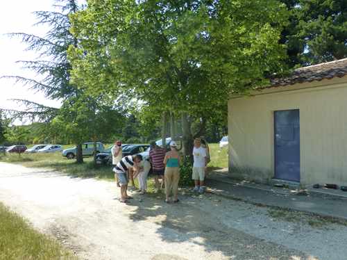 P1060853 (73)